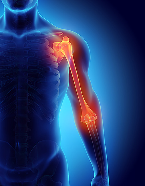 Shoulder & Elbow Fellowship